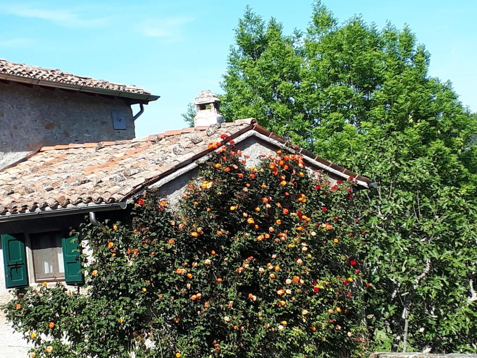 La Corte Bonomini Bed & Breakfast Neviano degli Arduini Екстериор снимка