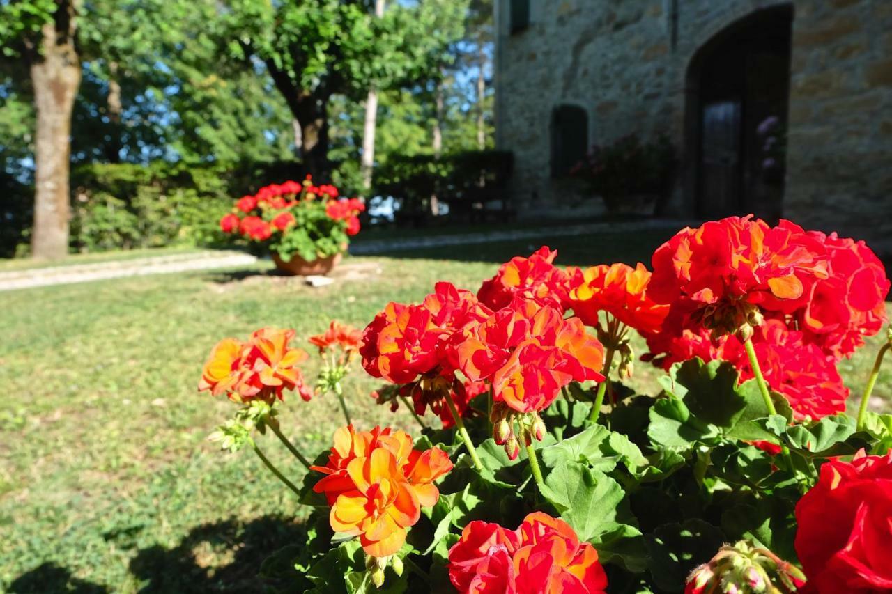 La Corte Bonomini Bed & Breakfast Neviano degli Arduini Екстериор снимка